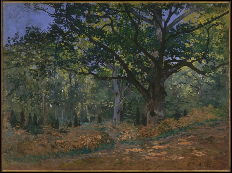Bodmer Oak, Fontainebleau-skogen W60 - Claude Monet