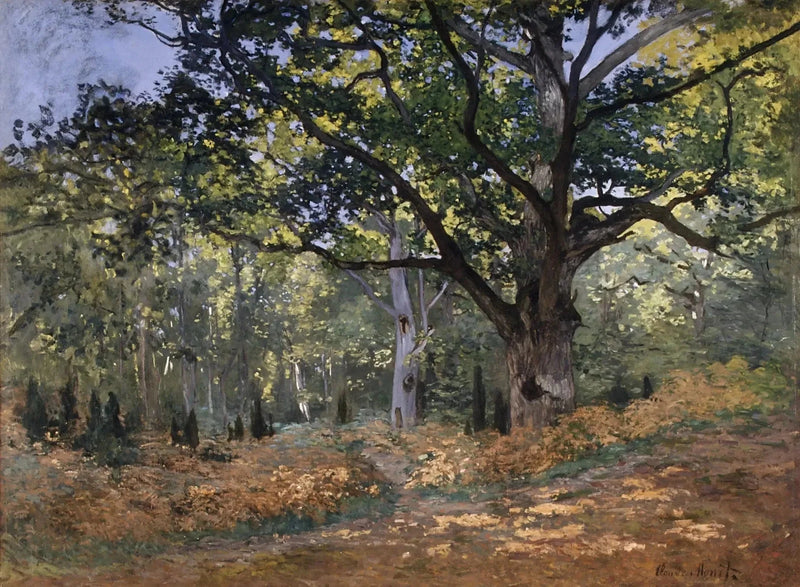 Bodmer Oak, Fontainebleau-skogen W60 - Claude Monet
