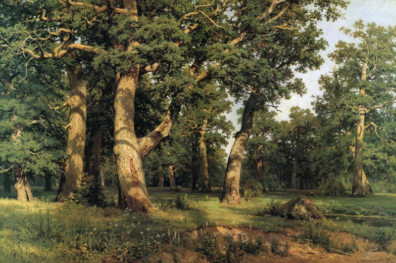 Eikekløften - Ivan Chichkine

Source:
Chêne Grove - Ivan Chichkine