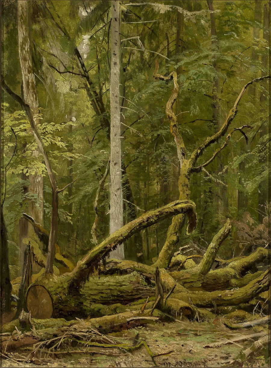 Sleidet eik - Ivan Chichkine

Source:
Chêne scié - Ivan Chichkine