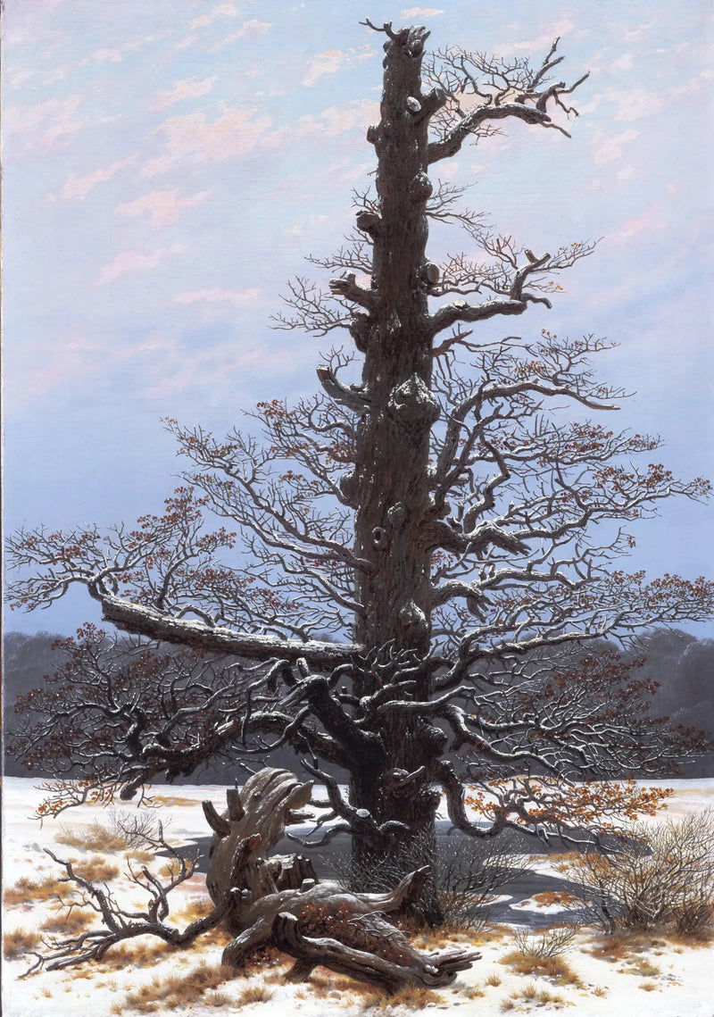 Eik under snøen - Caspar David Friedrich
