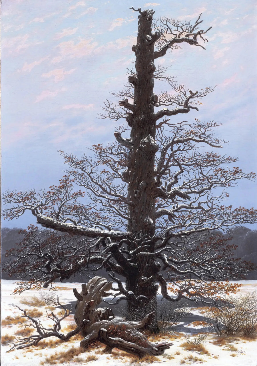 Eik under snøen - Caspar David Friedrich