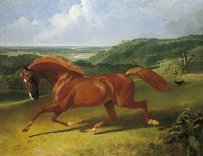 Galopperende hest i en åker - John Frederick Herring, Sr.

Source:
Cheval au galop dans un champ - John Frederick Herring, Sr.