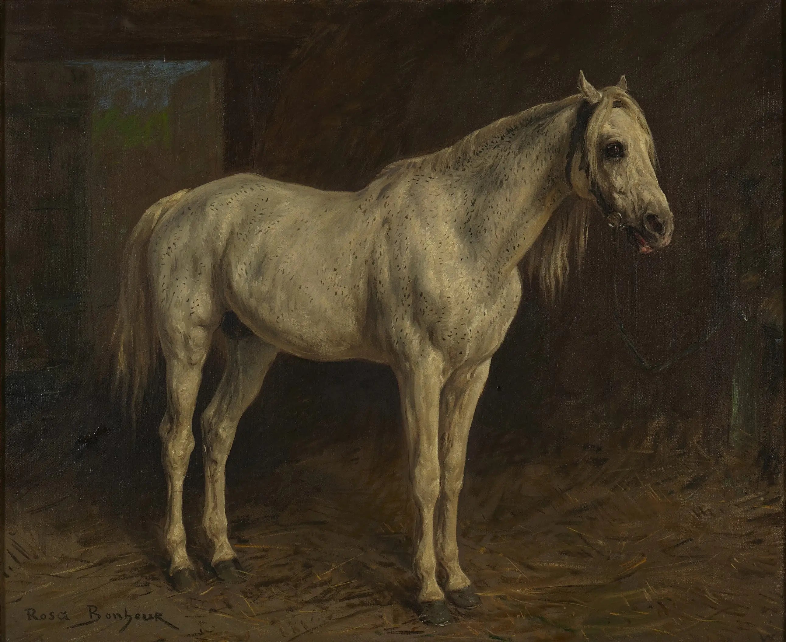 Cheval Blanc - Rosa Bonheur image 1 reproduction artisanale de tableau