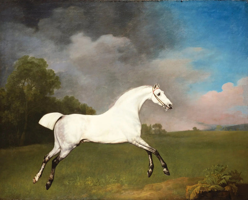 Grå hest som galopperer i en eng - George Stubbs

Source:
Cheval gris galopant dans un champ - George Stubbs