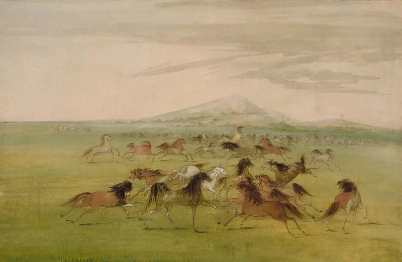 Ville villehester i spill - George Catlin

Source:
Chevaux sauvages en jeu - George Catlin