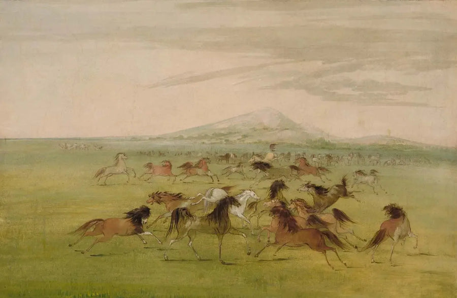 Ville villehester i spill - George Catlin

Source:
Chevaux sauvages en jeu - George Catlin