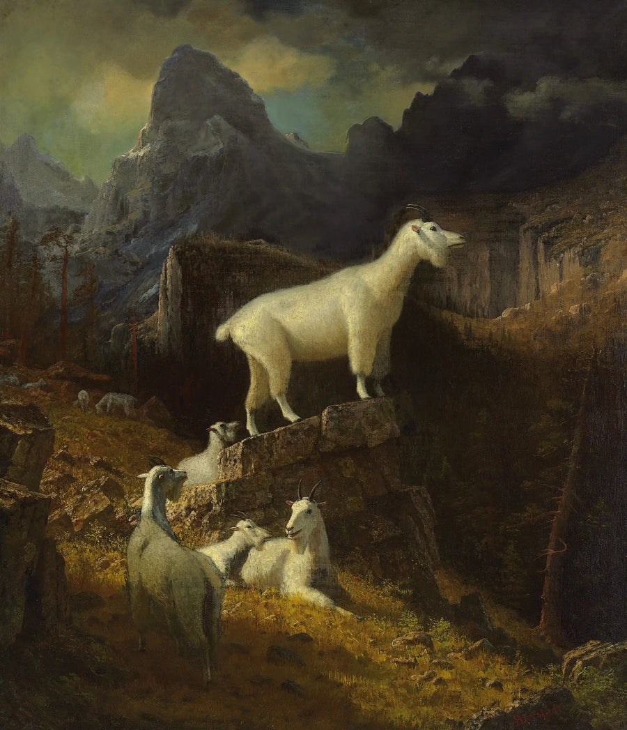 Rocheusefjellgeiter - Albert Bierstadt

Source:
Chèvres des montagnes Rocheuses - Albert Bierstadt