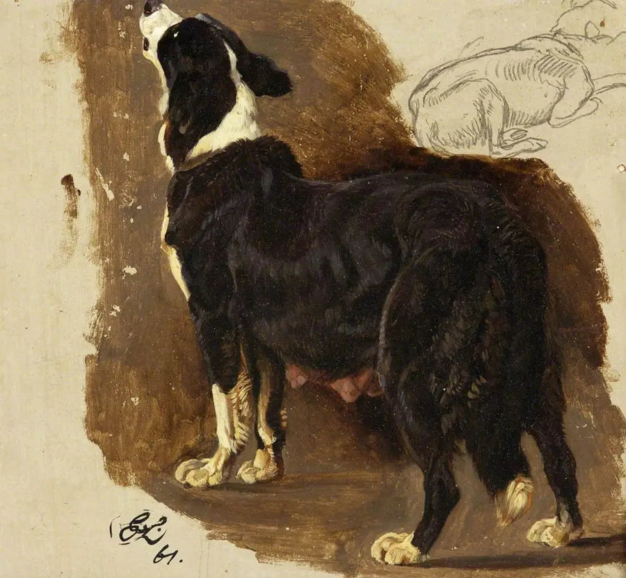 Colley-hund - Edwin Henry Landseer

Source:
Chienne Colley - Edwin Henry Landseer