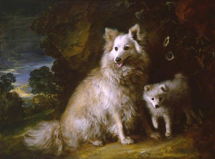 Hund og valp pomeranianer - Thomas Gainsborough

Source:
Chienne et chiot poméraniens - Thomas Gainsborough
