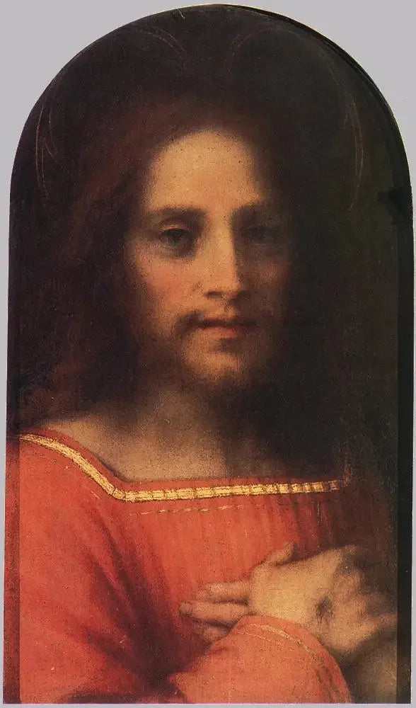 Kristus Frelserskikkelse - Andrea del Sarto