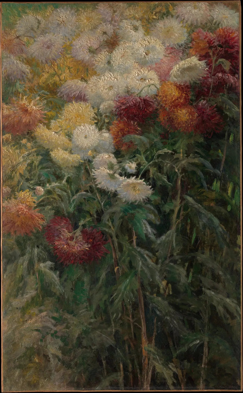Krysantemum i hagen til Petit Gennevilliers - Gustave Caillebotte