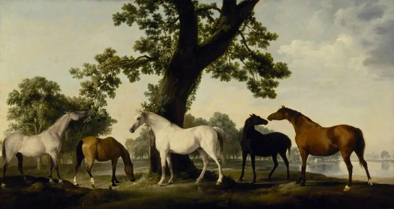 Fem hopper på oppdrett av hertugen av Cumberland i Windsor Store Park - George Stubbs

Source:
Cinq juments à l'élevage du duc de Cumberland dans le Grand Parc de Windsor - George Stubbs