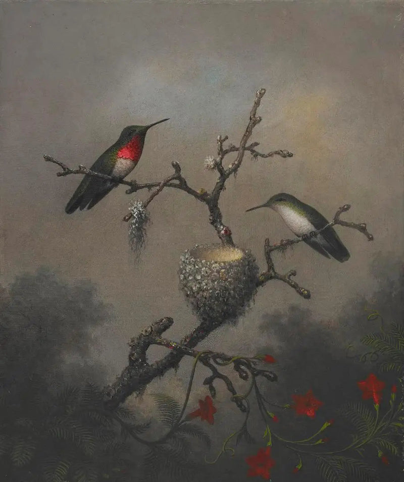 Rubinhalset kolibri - Martin Johnson Heade

Source:
Colibri à gorge rubis - Martin Johnson Heade