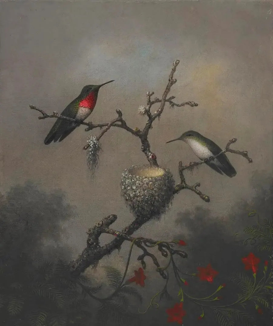 Rubinhalset kolibri - Martin Johnson Heade

Source:
Colibri à gorge rubis - Martin Johnson Heade