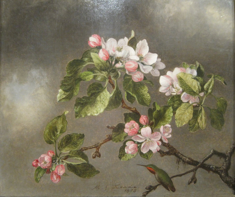 Kolibri og epleblomster - Martin Johnson Heade

Source:
Colibri et fleurs de pommier - Martin Johnson Heade