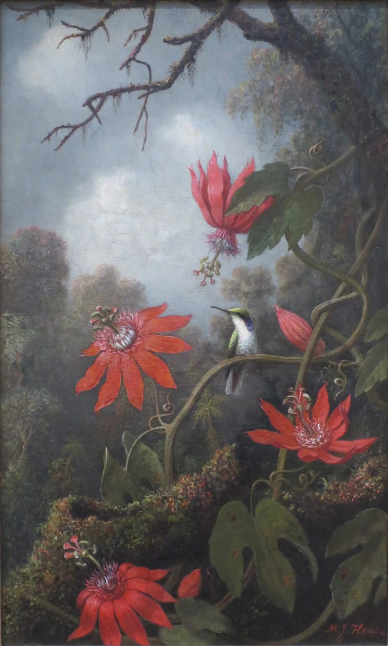 Kolibri og passiflores - Martin Johnson Heade

Source:
Colibri et passiflores - Martin Johnson Heade