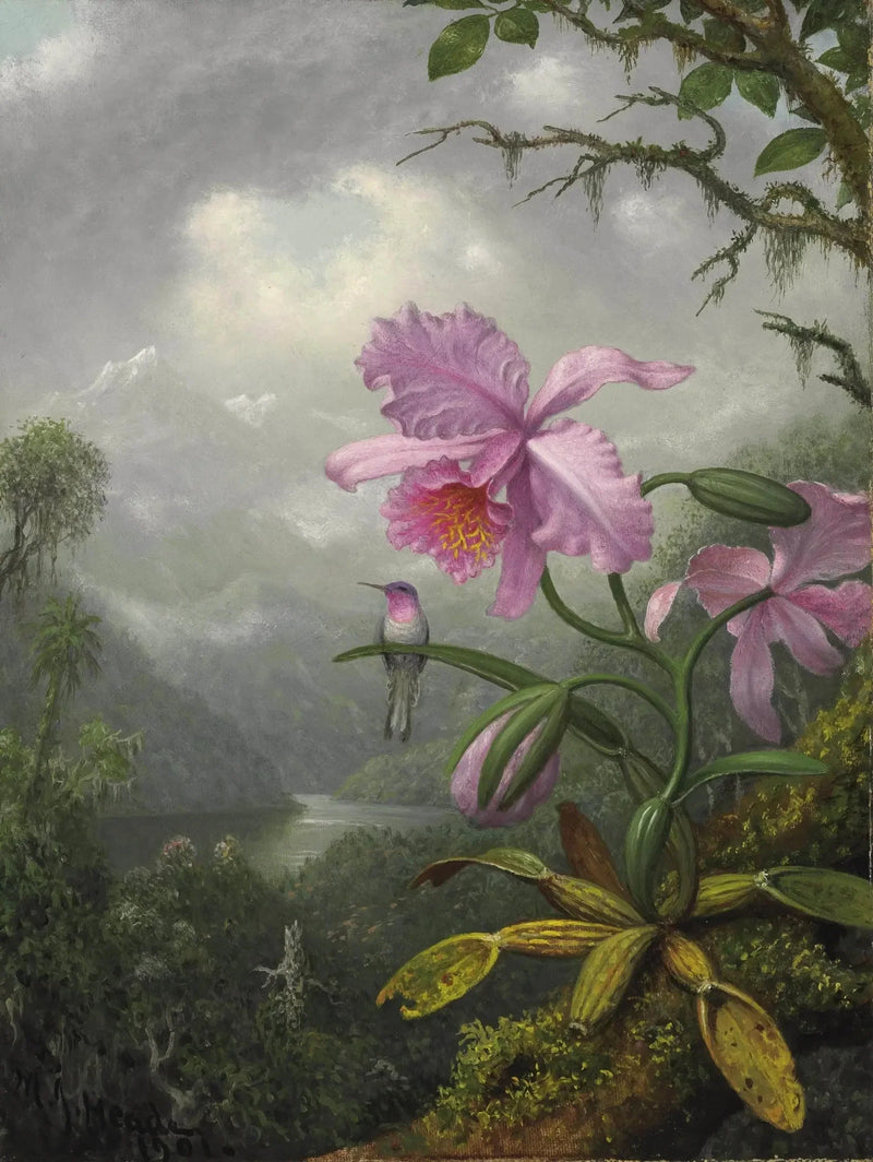 Colibri som sitter på orkidéplanten - Martin Johnson Heade

Source:
Colibri perché sur la plante d'orchidée - Martin Johnson Heade