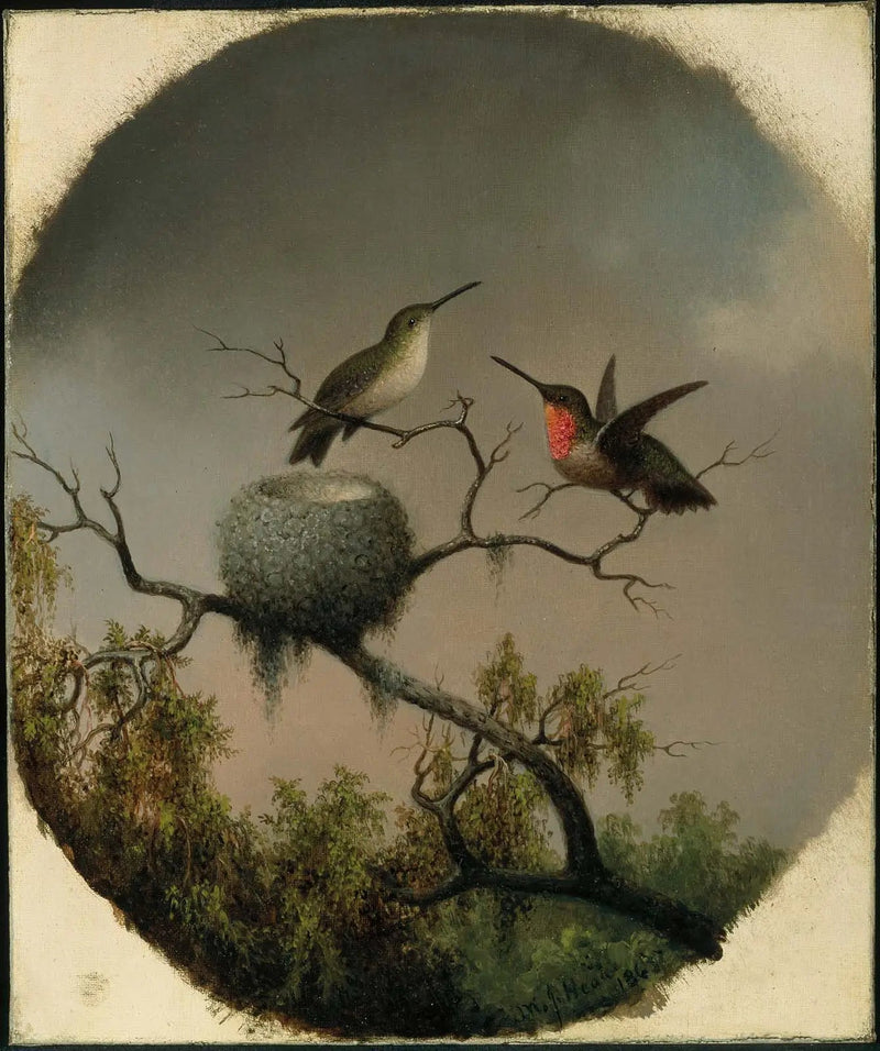 Kolibrier med rede - Martin Johnson Heade

Source:
Colibris avec nid - Martin Johnson Heade