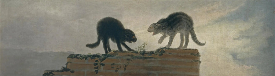 Kattkamp - Francisco de Goya
