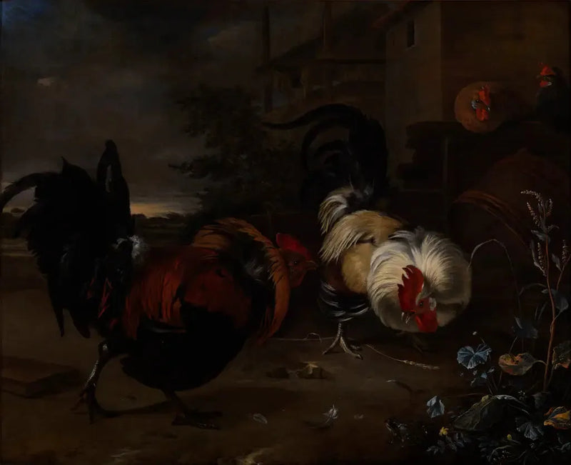 Kamp mellom haner - Melchior de Hondecoeter