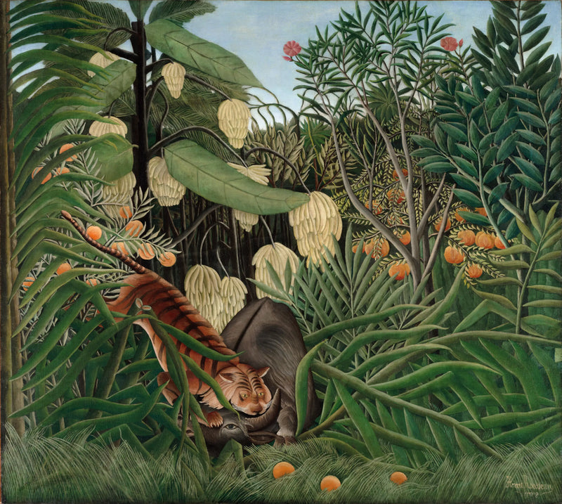 Tigerkamp og bøffelkamp - Henri Rousseau