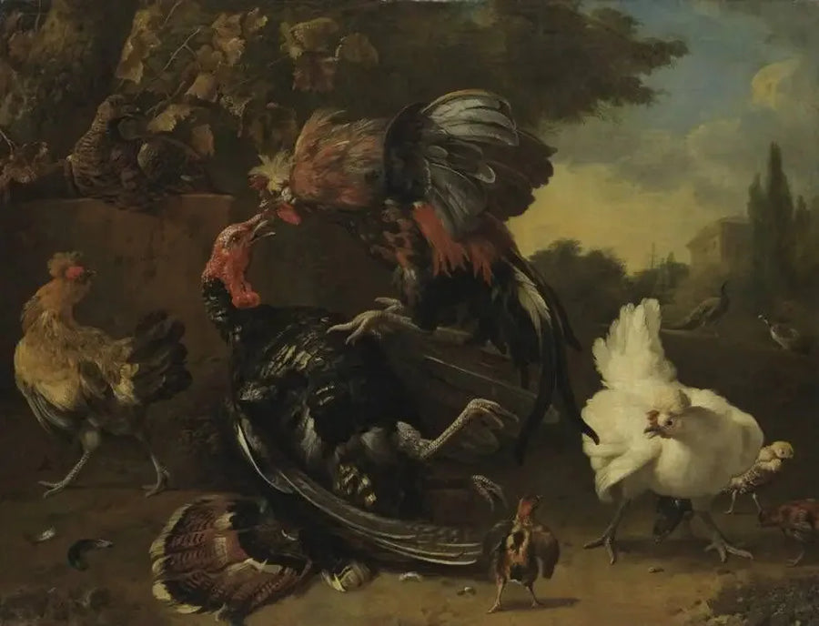 Kamp mellom en hane og en kalkun - Melchior de Hondecoeter