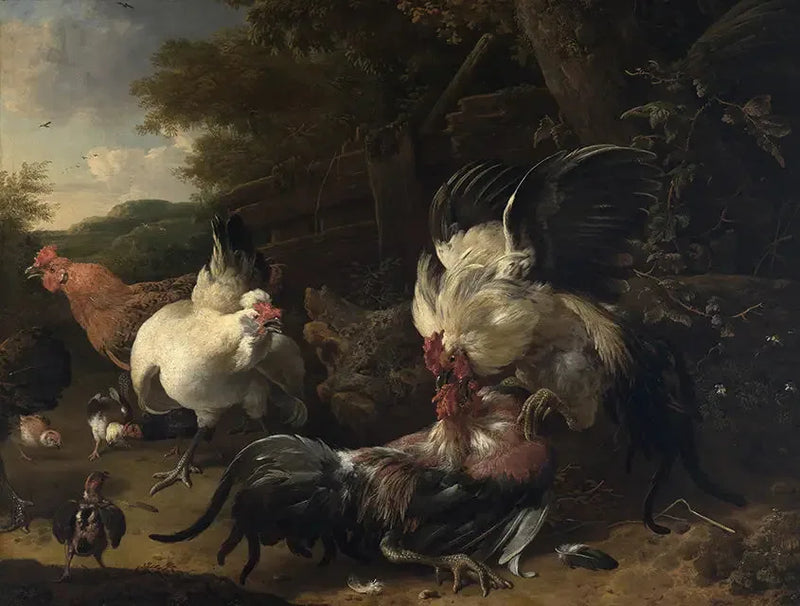 Kamp mellom haner - Melchior de Hondecoeter