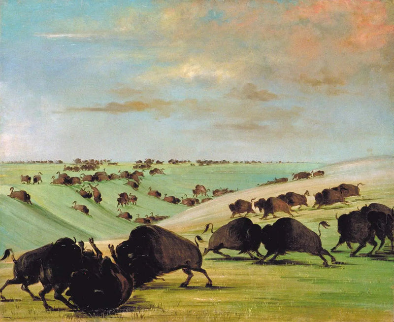 Buffletyrkamp under løpssesongen, Haut-Missouri - George Catlin

Source:
Combats de taureaux de buffle pendant la saison de course, Haut-Missouri - George Catlin