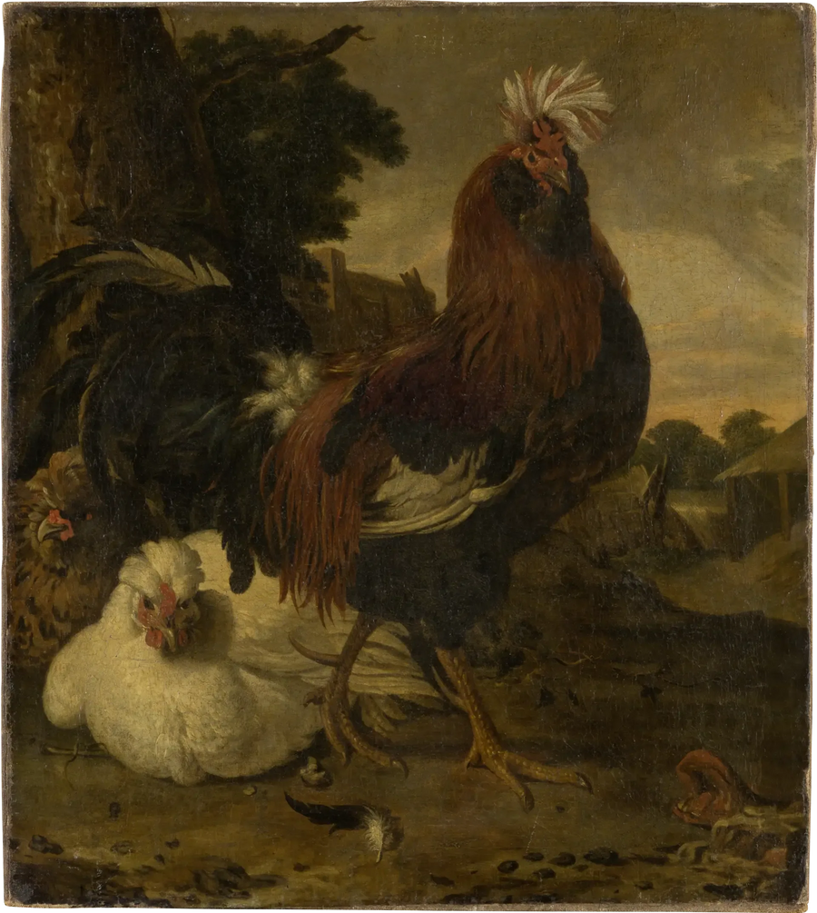 Hane i en gårdsplass - Melchior de Hondecoeter