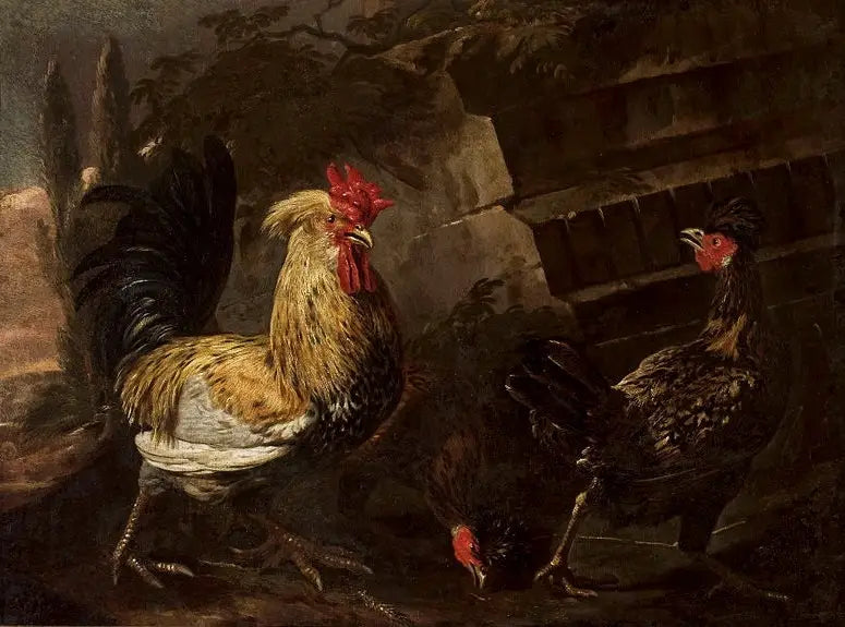 Hane og høner. - Melchior de Hondecoeter