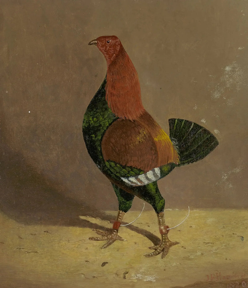 Kamphøner: en kamphøne med mørk bryst, vendt mot venstre - John Frederick Herring, Sr.

Source:
Coqs de combat : un coq de combat à poitrine foncée, tourné vers la gauche - John Frederick Herring, Sr.