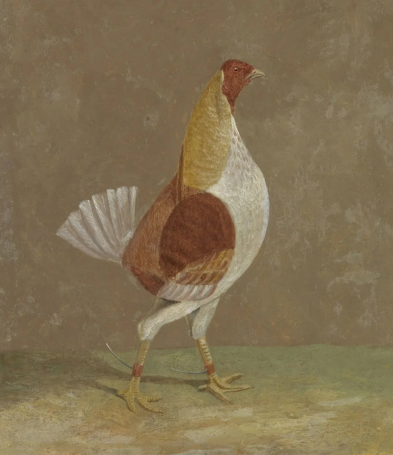 Kamphøner: en kamphøne med lys bryst, vendt mot høyre - John Frederick Herring, Sr.

Source:
Coqs de combat : un coq de combat à poitrine pâle, tourné vers la droite - John Frederick Herring, Sr.