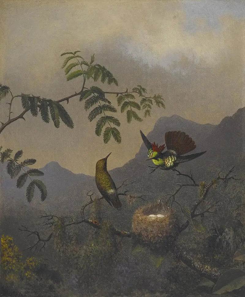 Volantkjole - Martin Johnson Heade

Source:
Coquette à volants - Martin Johnson Heade