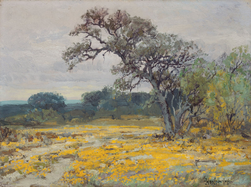 Coréopsis, nær San Antonio, Texas - Julian Onderdonk