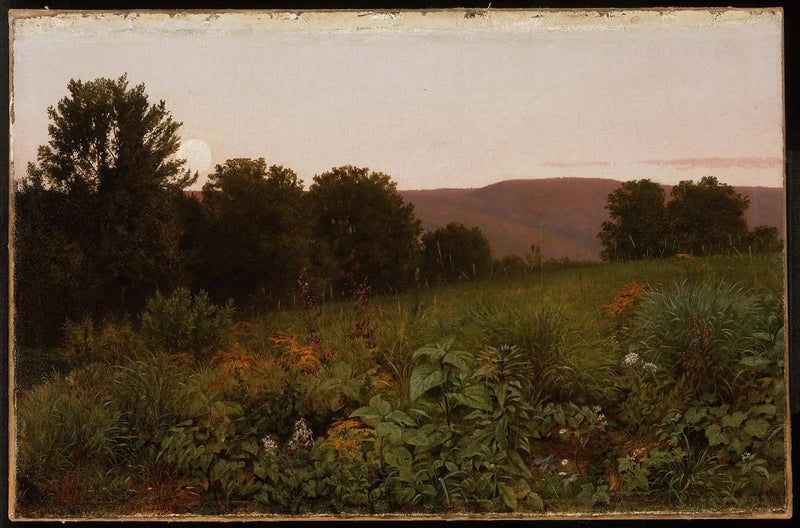 Solnedgang over engen - William Trost Richards