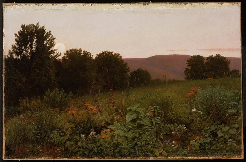 Solnedgang over engen - William Trost Richards