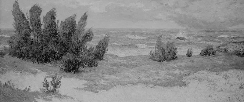 Vindkast - Maxime Maufra