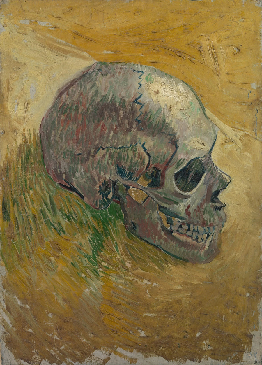 Skjelettkranium - Vincent van Gogh