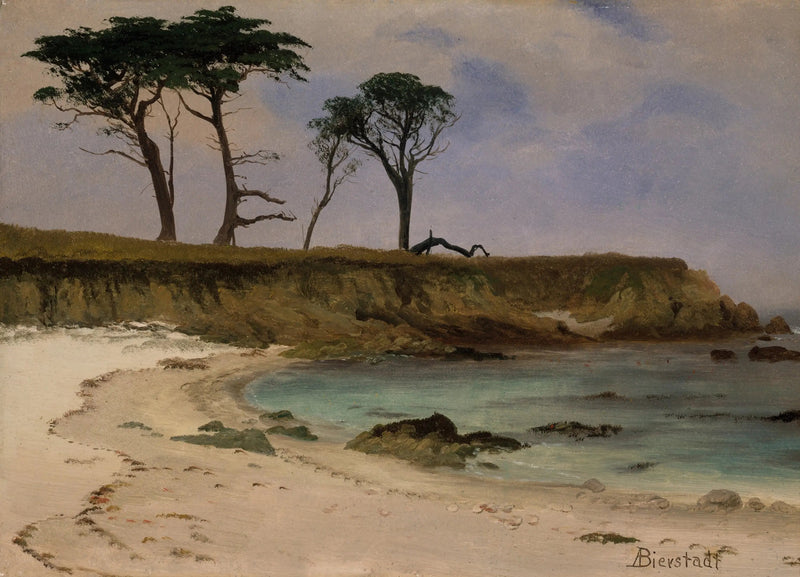 Sjøbukt - Albert Bierstadt

Source:
Crique de la mer - Albert Bierstadt