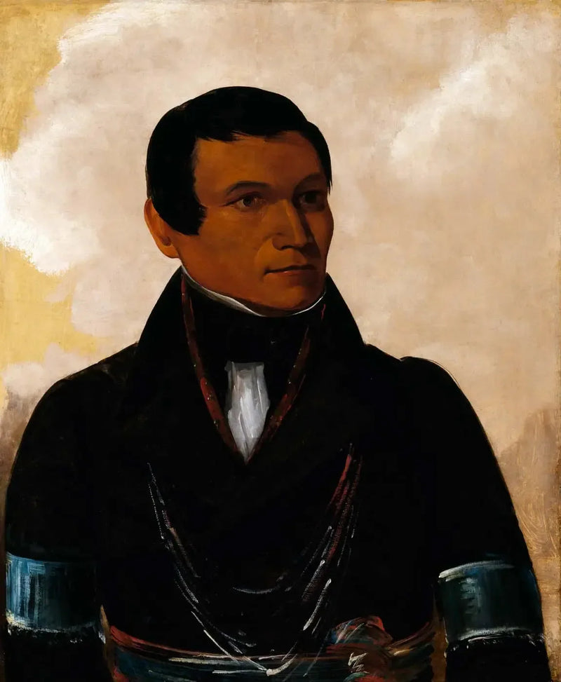 Cú-sick, sønn av sjefen - George Catlin

Source:
Cú-sick, fils du chef - George Catlin