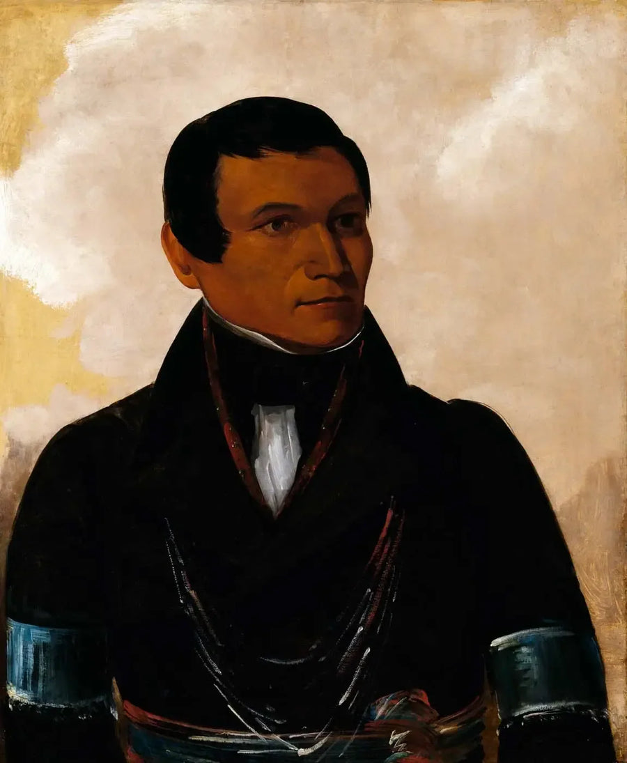 Cú-sick, sønn av sjefen - George Catlin

Source:
Cú-sick, fils du chef - George Catlin