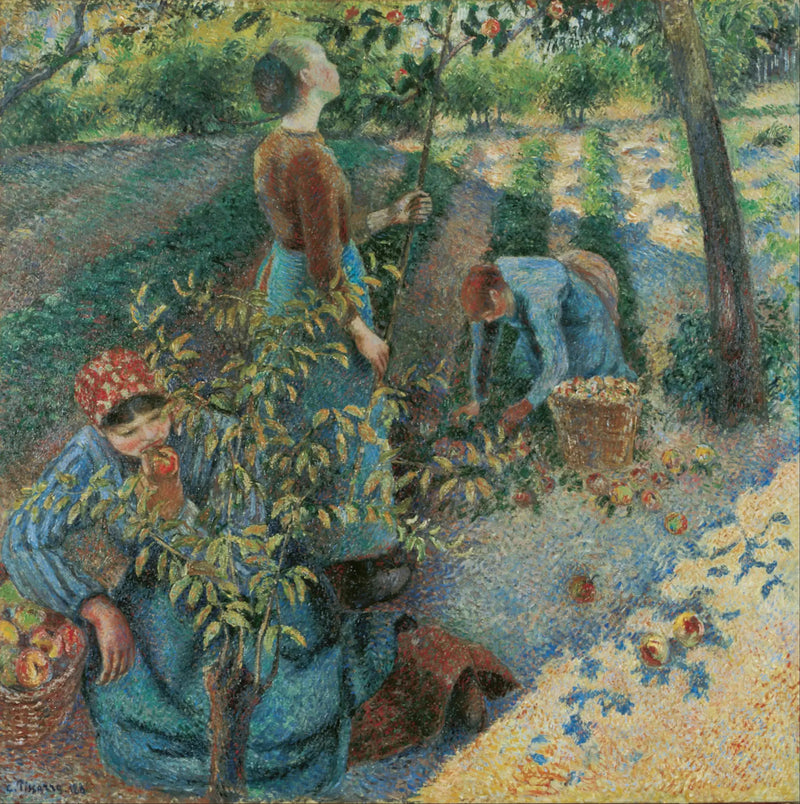 Epleplukking - Camille Pissarro
