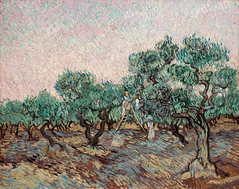 Olivenplukking - Vincent van Gogh