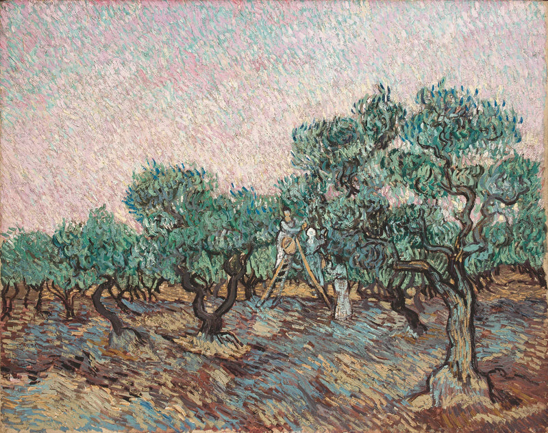 Olivenplukking - Vincent van Gogh