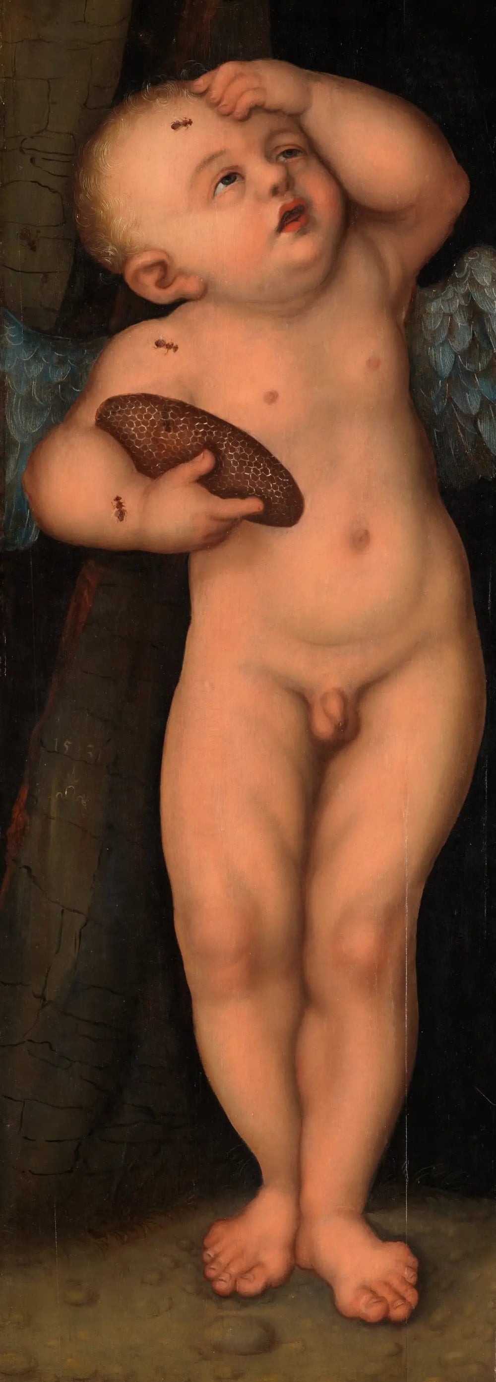Cupidon comme voleur de miel - Lucas Cranach the Elder image 1 copie de tableau peinte à la main
