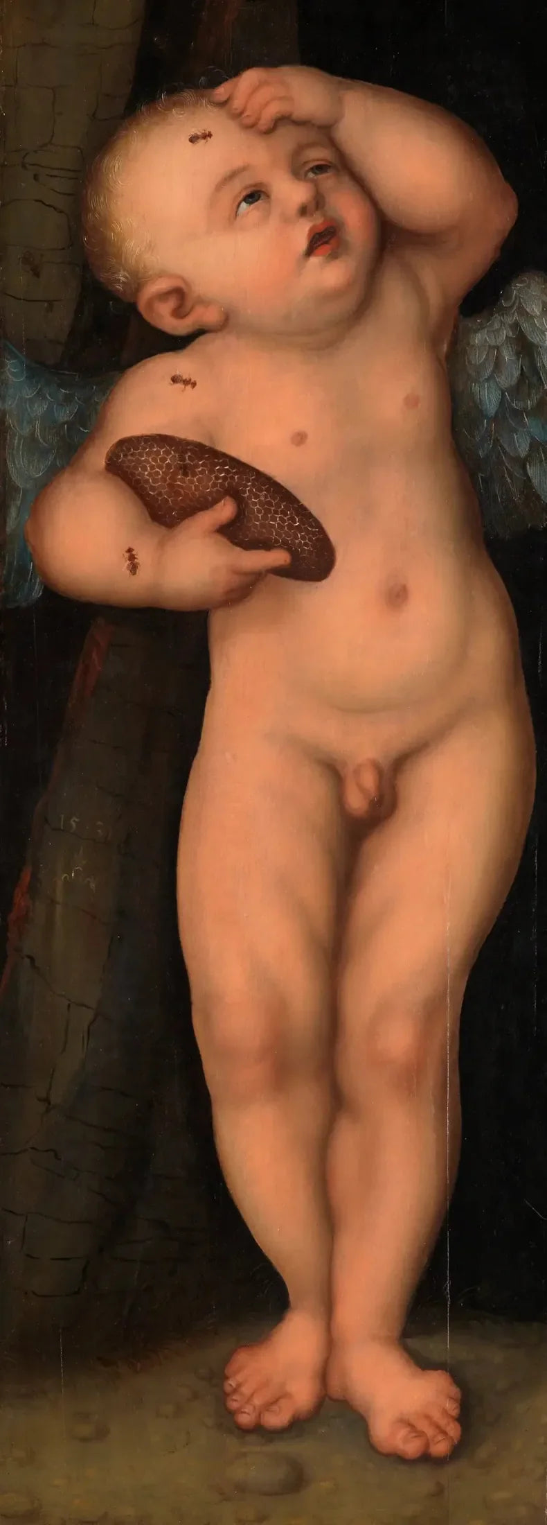 Kupid som honningtyv - Lucas Cranach den eldre