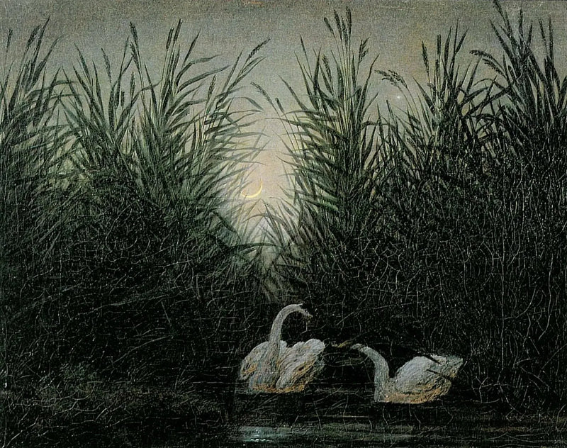 Svaner i sivet ved daggryets første lys - Caspar David Friedrich