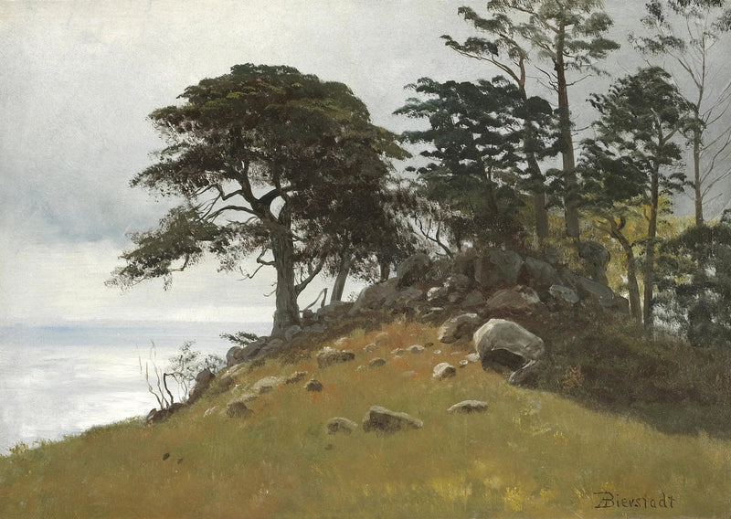 Cypress Point, Monterey - Albert Bierstadt

Source:
Cypress Point, Monterey - Albert Bierstadt