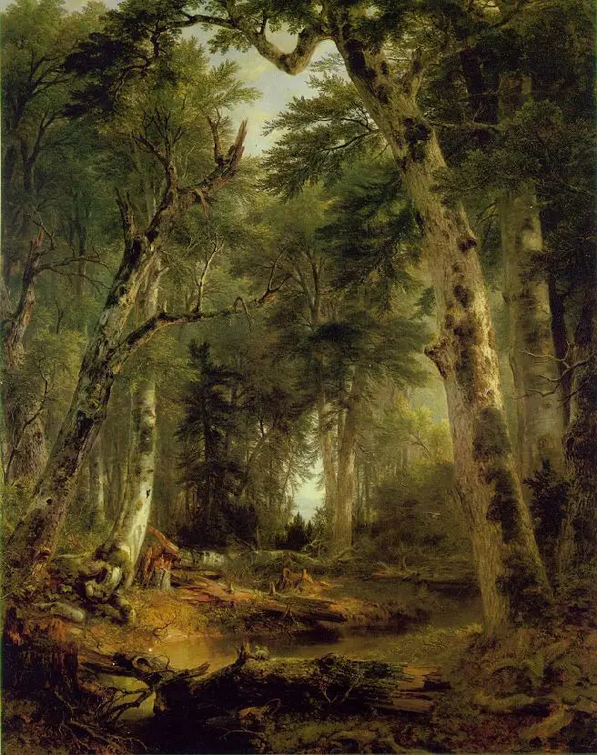 I skogen - Asher Brown Durand

Source:
Dans les bois - Asher Brown Durand
